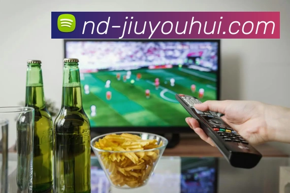 九游会J9官网发展历程